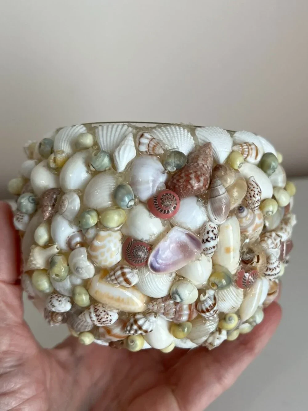 Hand Made Seashell Candle Holder